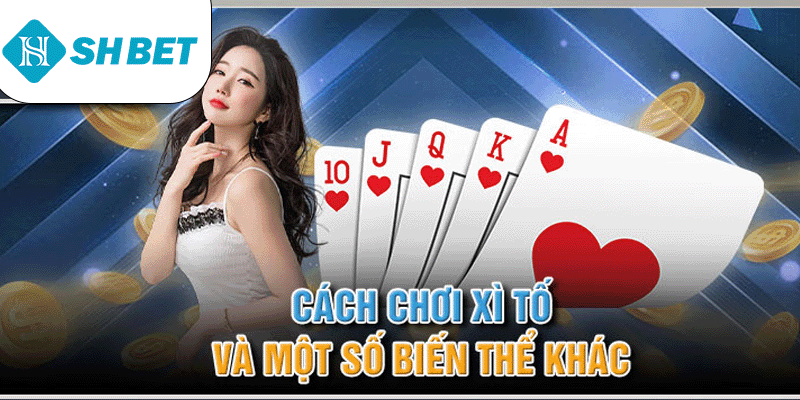 Cách chơi xì tố và một số biến thể khác