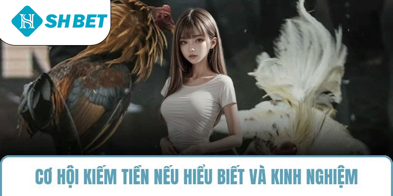 Cơ hội kiếm tiền nếu hiểu biết và kinh nghiệm